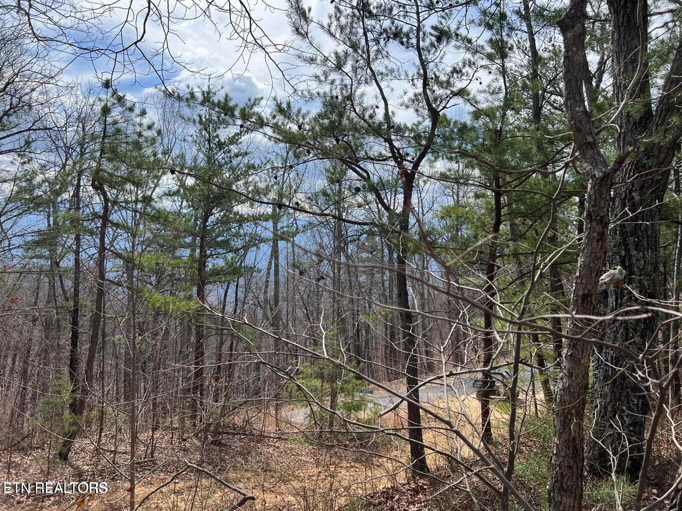 cc8 - Chestnut Ridge Court, Sevierville, TN 37876, Sevierville