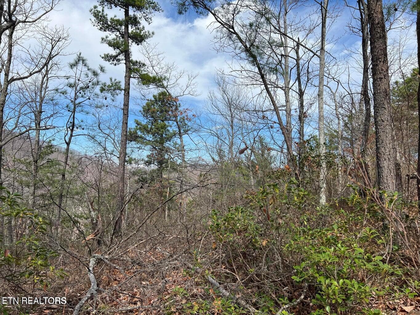 cc7 - Chestnut Ridge Court, Sevierville, TN 37876, Sevierville