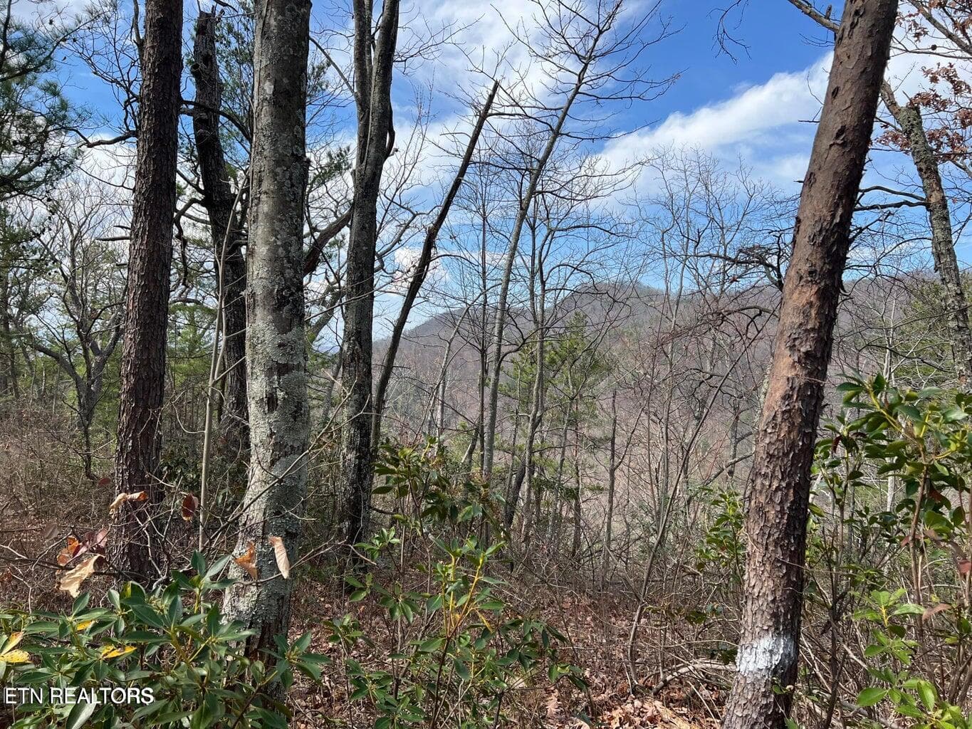 Chestnut Ridge Court, Sevierville, TN 37876