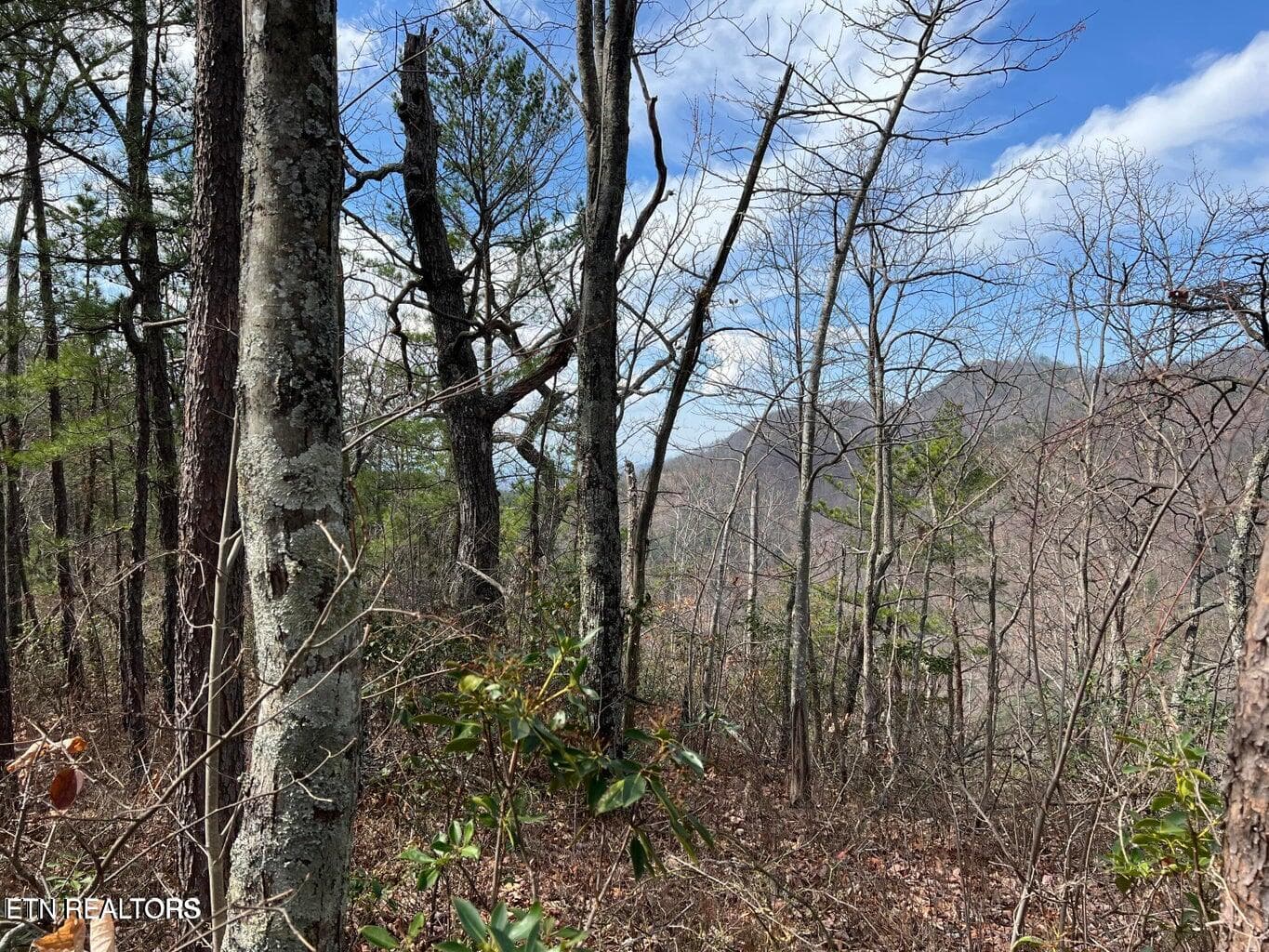 cc5 - Chestnut Ridge Court, Sevierville, TN 37876, Sevierville