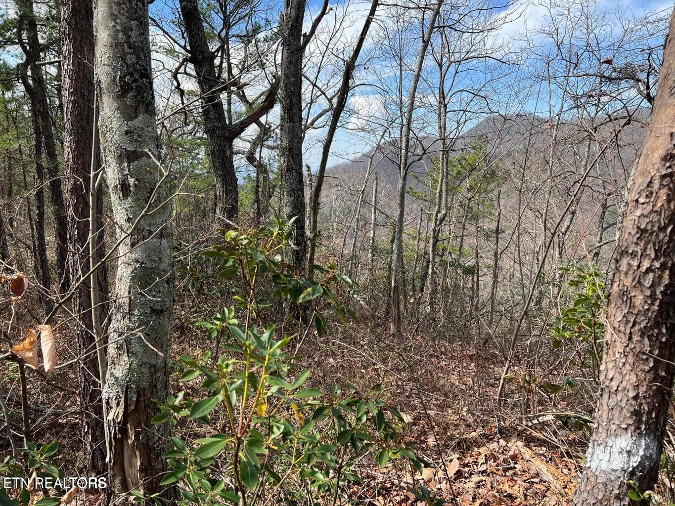 cc4 - Chestnut Ridge Court, Sevierville, TN 37876, Sevierville