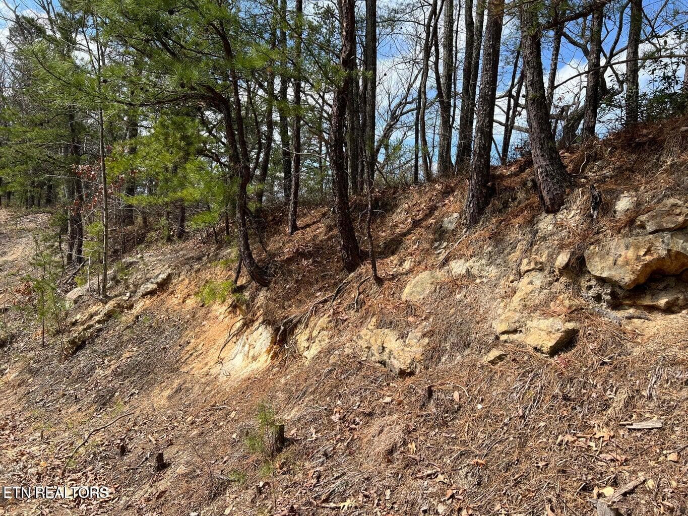 cc3 - Chestnut Ridge Court, Sevierville, TN 37876, Sevierville