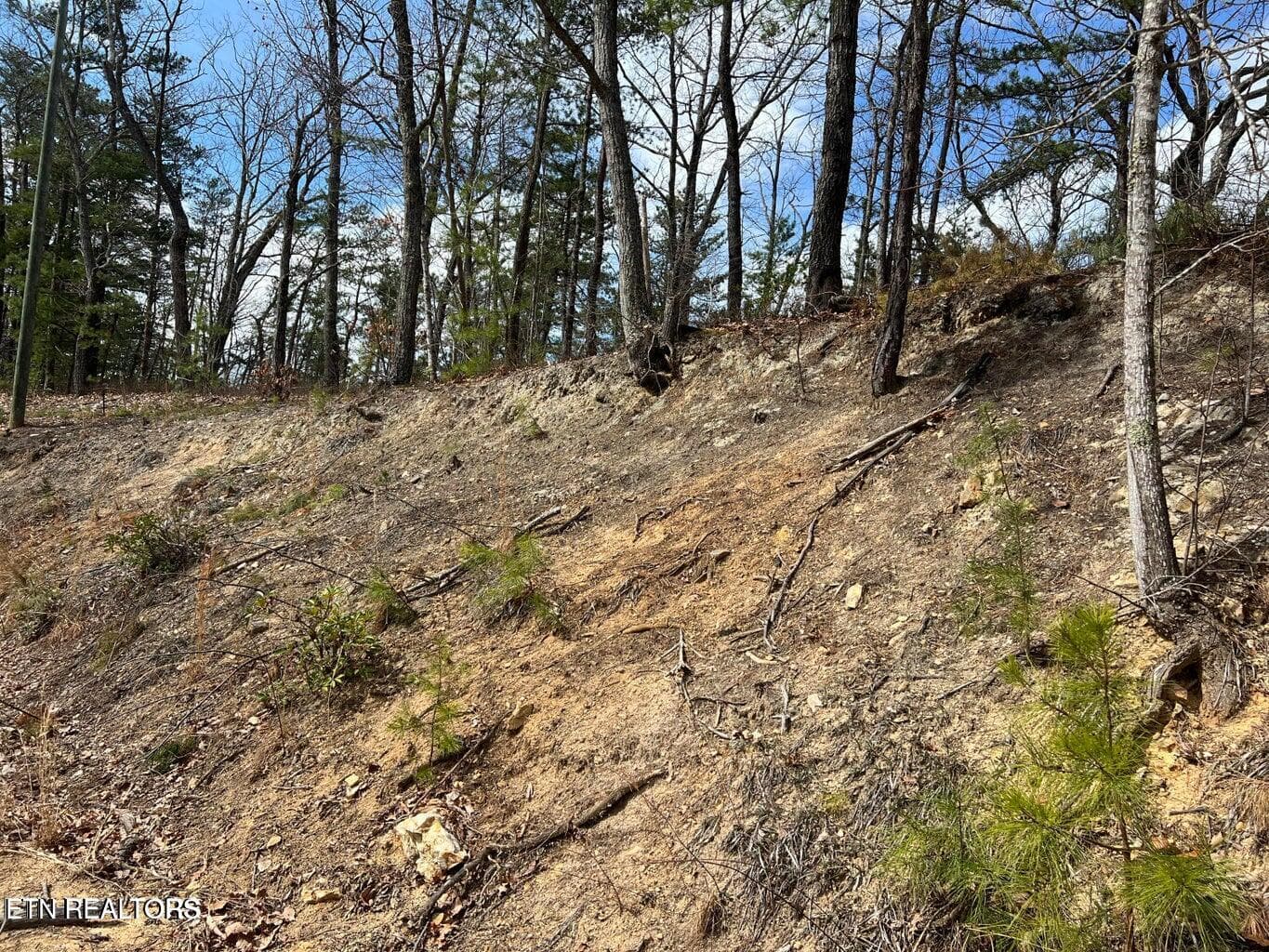 cc1 - Chestnut Ridge Court, Sevierville, TN 37876, Sevierville