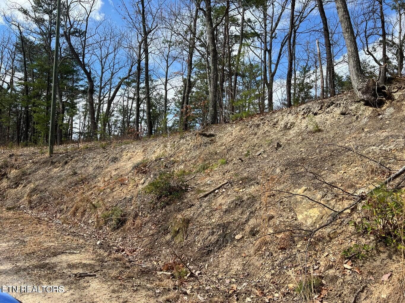 cc - Chestnut Ridge Court, Sevierville, TN 37876, Sevierville
