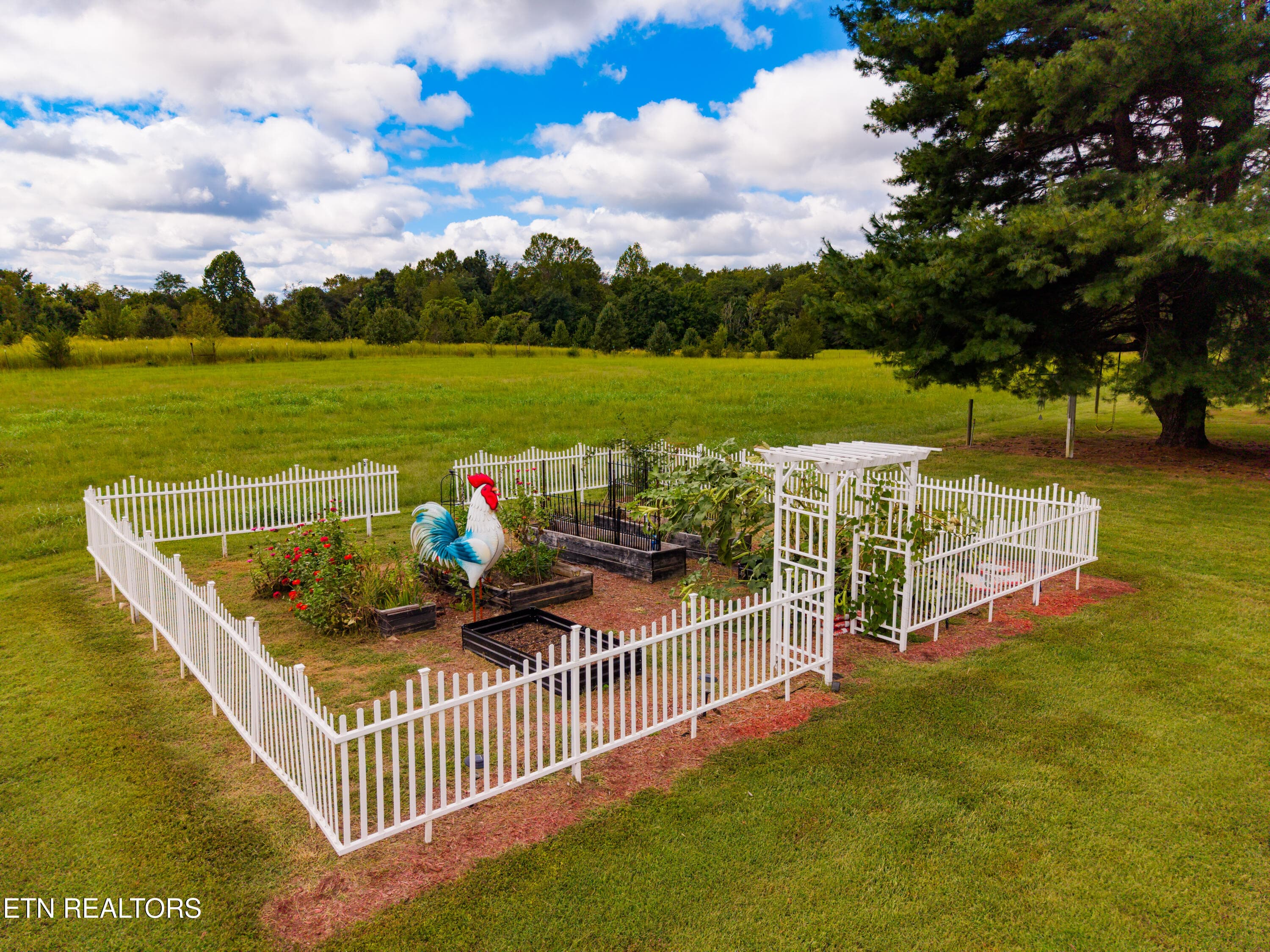 DJI_20260925112418_0184_D - 195 Ray Cemetery Rd, Sparta, TN 38583, Sparta