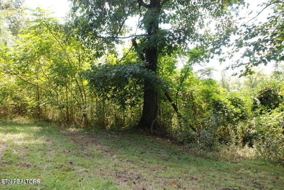 3 - 232 Vann Drive, Harriman, TN 37748, Harriman