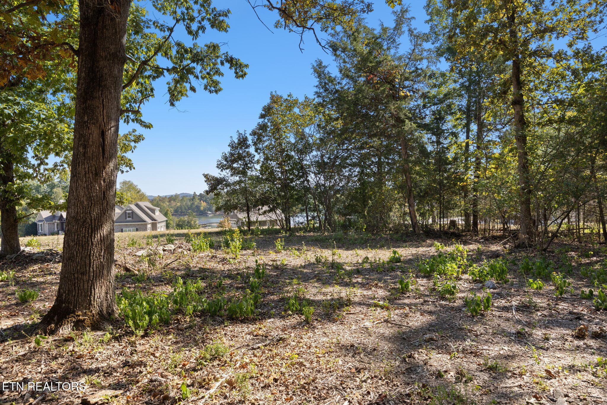 15-web-or-mls-015_110EShore - 110 E Shore Drive, Rockwood, TN 37854, Rockwood