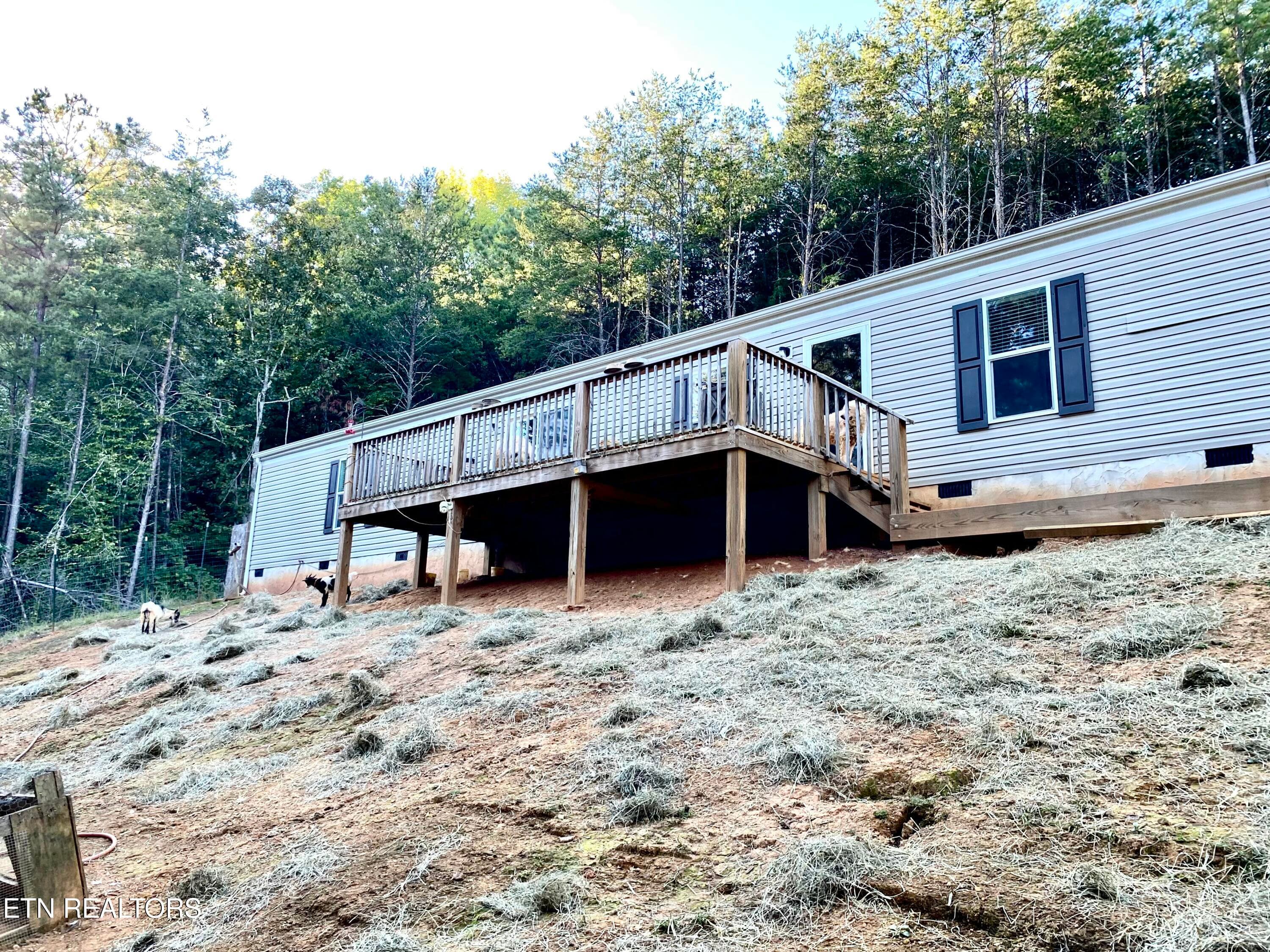 IMG_4110 - 1467 Belltown Rd, Tellico Plains, TN 37385, Tellico Plains
