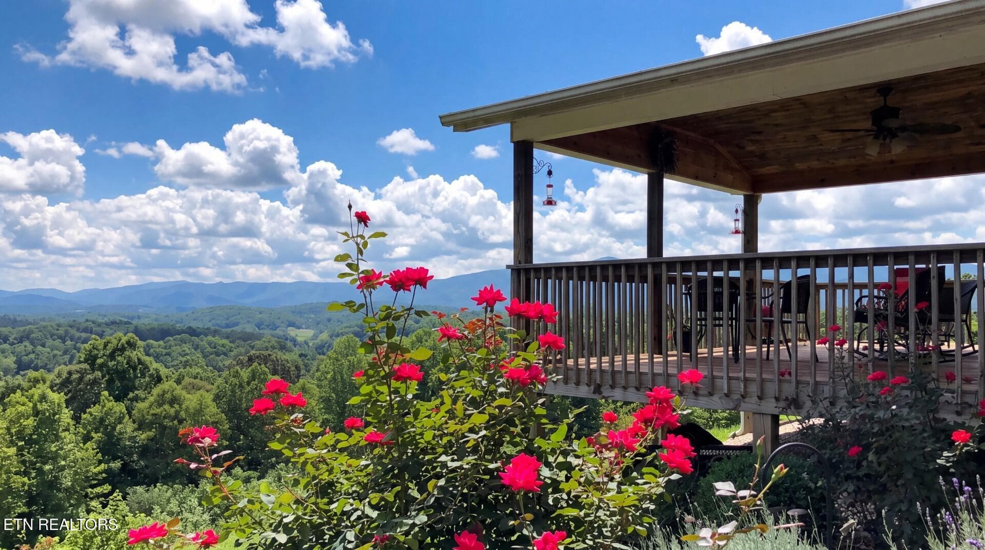 29.5ai - 522 Under The Sun Rd, Cosby, TN 37722, Cosby