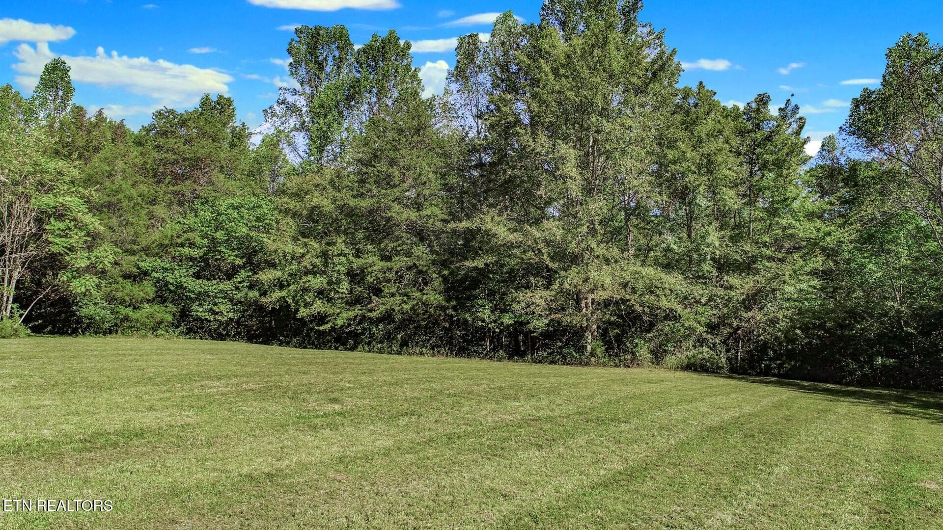 51ai - 522 Under The Sun Rd, Cosby, TN 37722, Cosby