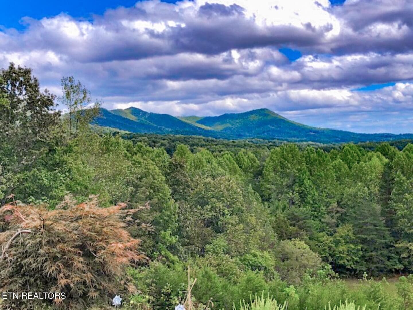 55 - 522 Under The Sun Rd, Cosby, TN 37722, Cosby