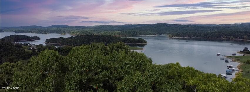 Lot in foreground - 170 Magnolia Lane, Sharps Chapel, TN 37866, Sharps Chapel