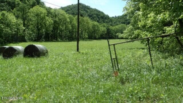100_0002 - 5155 Brimstone Creek Rd, Moss, TN 38575, Moss