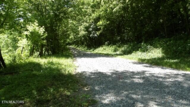100_0006 - 5155 Brimstone Creek Rd, Moss, TN 38575, Moss