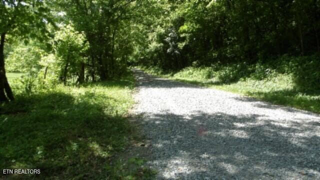 100_0008 - 5155 Brimstone Creek Rd, Moss, TN 38575, Moss