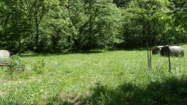 100_0009 - 5155 Brimstone Creek Rd, Moss, TN 38575, Moss