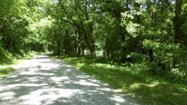 100_0012 - 5155 Brimstone Creek Rd, Moss, TN 38575, Moss