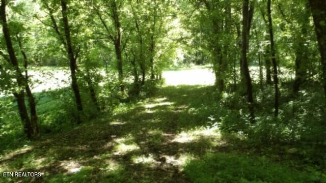 100_0014 - 5155 Brimstone Creek Rd, Moss, TN 38575, Moss