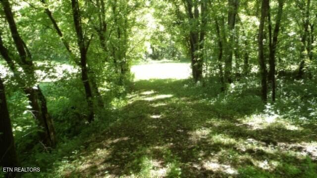 100_0015 - 5155 Brimstone Creek Rd, Moss, TN 38575, Moss
