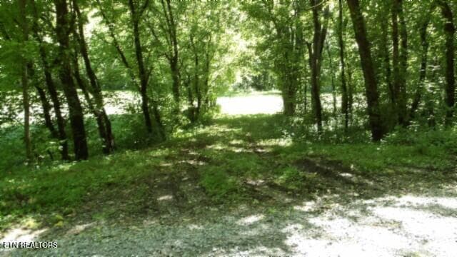 100_0016 - 5155 Brimstone Creek Rd, Moss, TN 38575, Moss