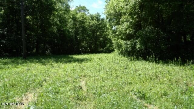 100_0017 - 5155 Brimstone Creek Rd, Moss, TN 38575, Moss