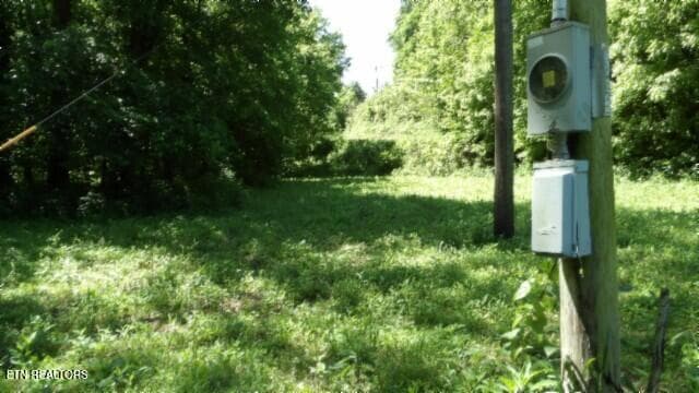 100_0021 - 5155 Brimstone Creek Rd, Moss, TN 38575, Moss