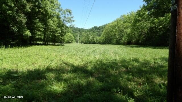 100_0024 - 5155 Brimstone Creek Rd, Moss, TN 38575, Moss