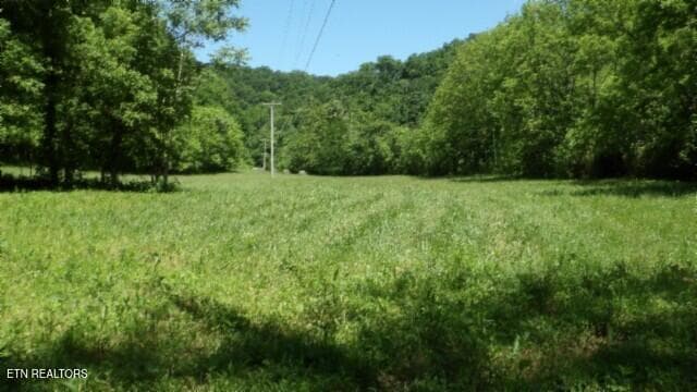 100_0025 - 5155 Brimstone Creek Rd, Moss, TN 38575, Moss