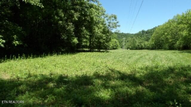 100_0026 - 5155 Brimstone Creek Rd, Moss, TN 38575, Moss