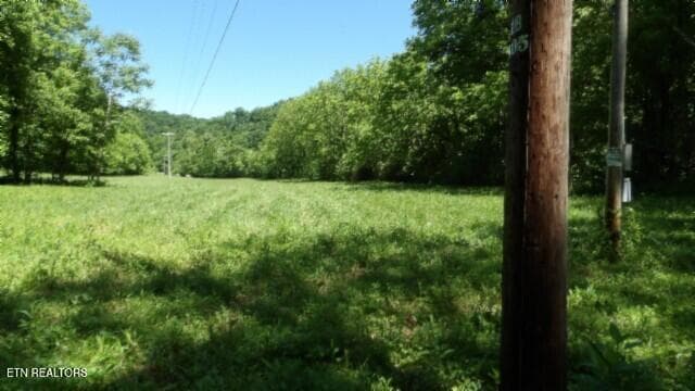 100_0027 - 5155 Brimstone Creek Rd, Moss, TN 38575, Moss