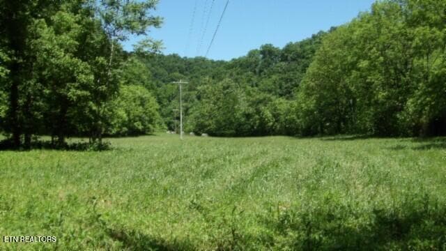 100_0028 - 5155 Brimstone Creek Rd, Moss, TN 38575, Moss