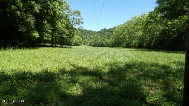 100_0029 - 5155 Brimstone Creek Rd, Moss, TN 38575, Moss