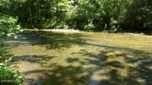 100_0031 - 5155 Brimstone Creek Rd, Moss, TN 38575, Moss