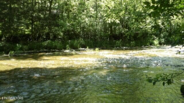 100_0033 - 5155 Brimstone Creek Rd, Moss, TN 38575, Moss