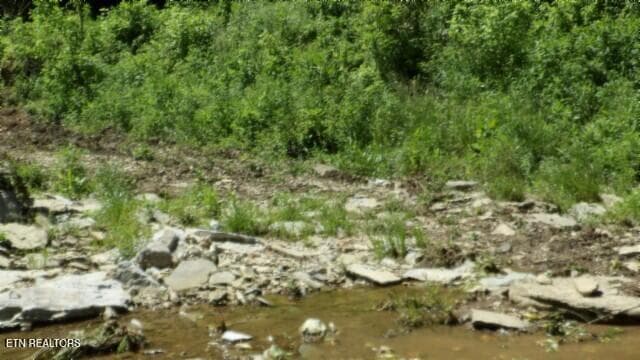 100_0039 - 5155 Brimstone Creek Rd, Moss, TN 38575, Moss