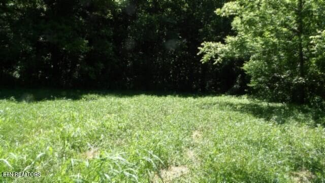 100_0041 - 5155 Brimstone Creek Rd, Moss, TN 38575, Moss