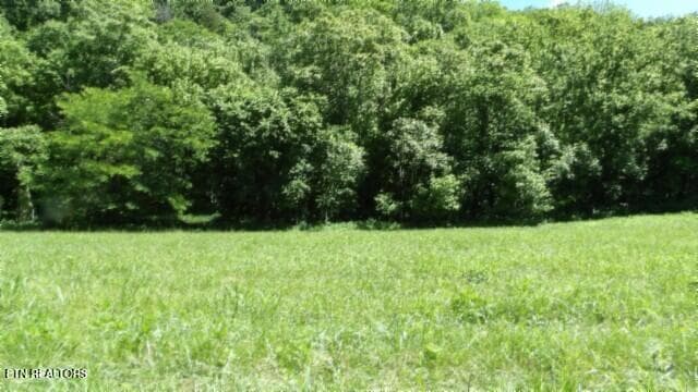 100_0046 - 5155 Brimstone Creek Rd, Moss, TN 38575, Moss