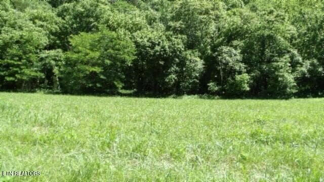 100_0047 - 5155 Brimstone Creek Rd, Moss, TN 38575, Moss