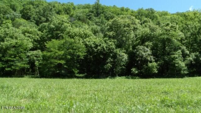 100_0048 - 5155 Brimstone Creek Rd, Moss, TN 38575, Moss