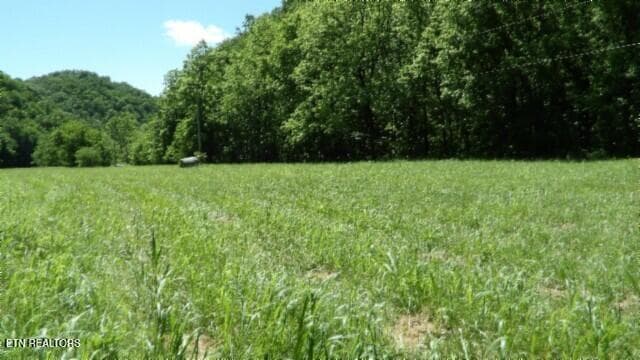 100_0054 - 5155 Brimstone Creek Rd, Moss, TN 38575, Moss