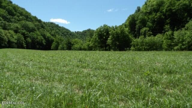 100_0064 - 5155 Brimstone Creek Rd, Moss, TN 38575, Moss