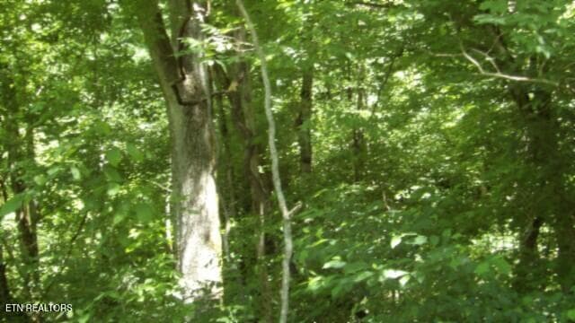 100_0065 - 5155 Brimstone Creek Rd, Moss, TN 38575, Moss