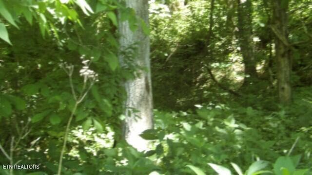 100_0066 - 5155 Brimstone Creek Rd, Moss, TN 38575, Moss