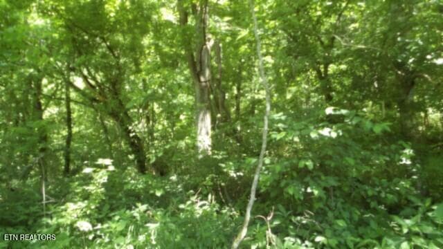 100_0068 - 5155 Brimstone Creek Rd, Moss, TN 38575, Moss