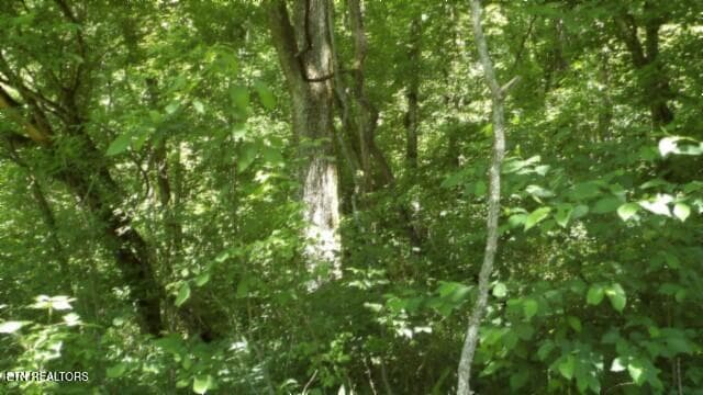 100_0069 - 5155 Brimstone Creek Rd, Moss, TN 38575, Moss