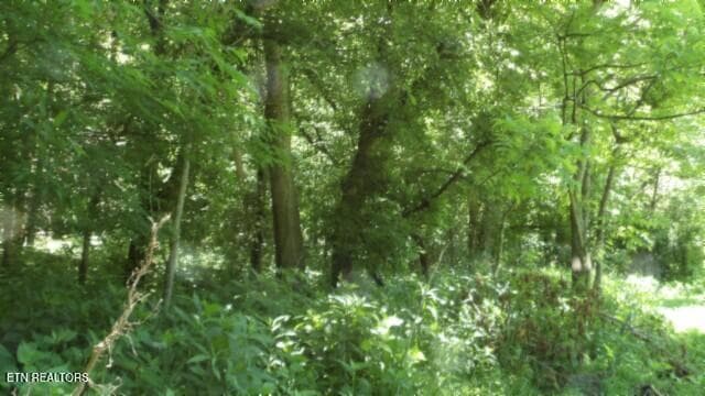 100_0070 - 5155 Brimstone Creek Rd, Moss, TN 38575, Moss