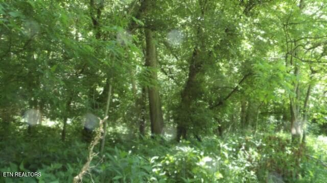 100_0071 - 5155 Brimstone Creek Rd, Moss, TN 38575, Moss