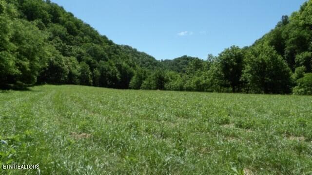 100_0072 - 5155 Brimstone Creek Rd, Moss, TN 38575, Moss