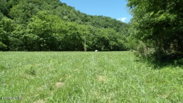 100_0073 - 5155 Brimstone Creek Rd, Moss, TN 38575, Moss