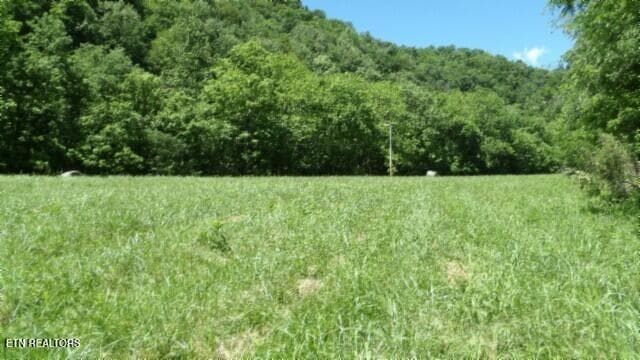 100_0074 - 5155 Brimstone Creek Rd, Moss, TN 38575, Moss
